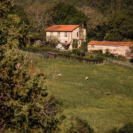 Apartment Chiantissima, Tuscany *