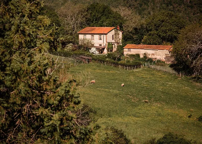 Apartment Chiantissima, Tuscany *
