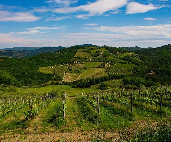 Chiantissima, Tuscany *