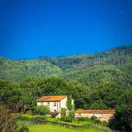 Chiantissima, Tuscany Апартаменты Starda